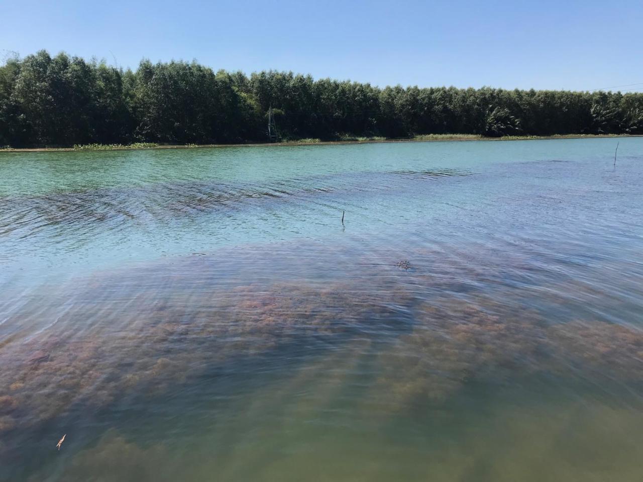 Chi-Bu Riverside Nhon Trach Kültér fotó